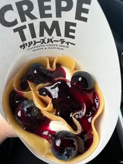 miia ネイルカラー/DAISO/マニキュアを使ったクチコミ(3枚目)