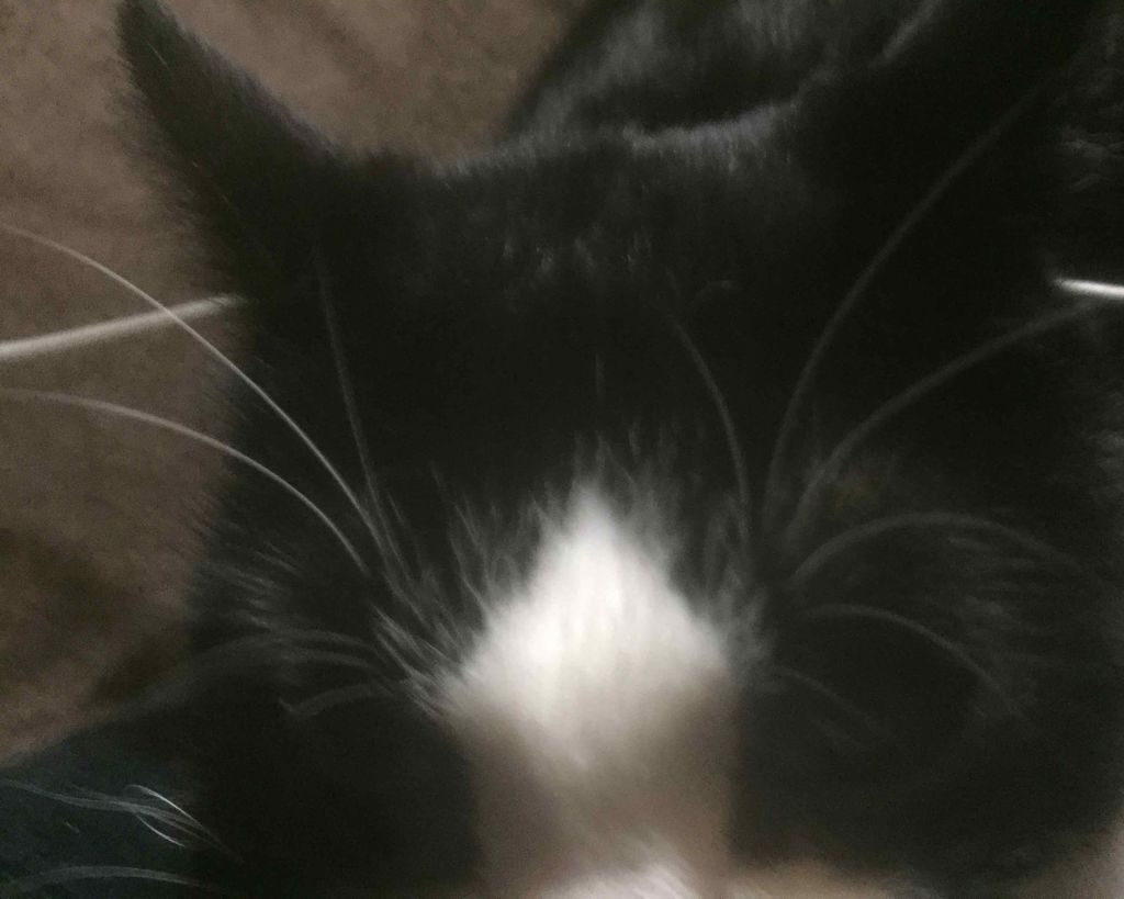 【旧】ディオール アディクト リップ マキシマイザー/Dior/リップグロスを使ったクチコミ（1枚目）