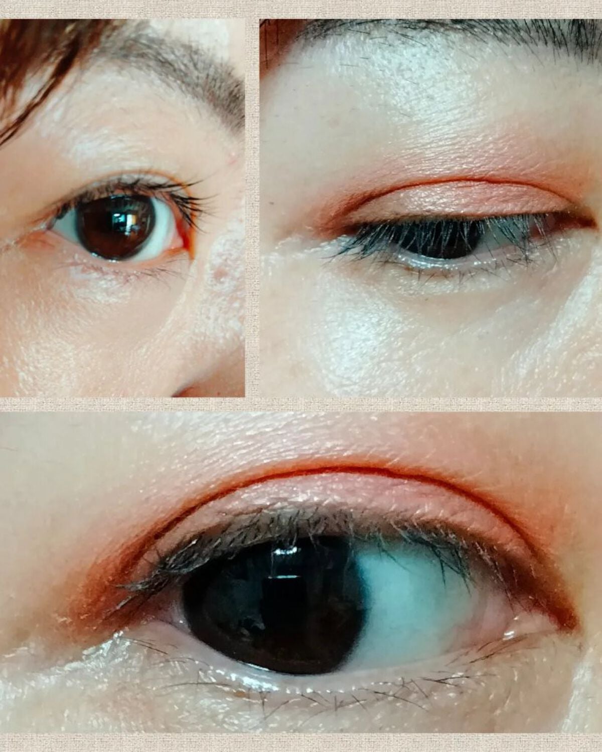 アイリッドベース(N)/LUNASOL/アイシャドウベースを使ったクチコミ(5枚目)