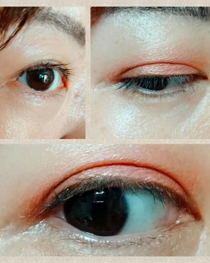 アイリッドベース(N)/LUNASOL/アイシャドウベースを使ったクチコミ(5枚目)