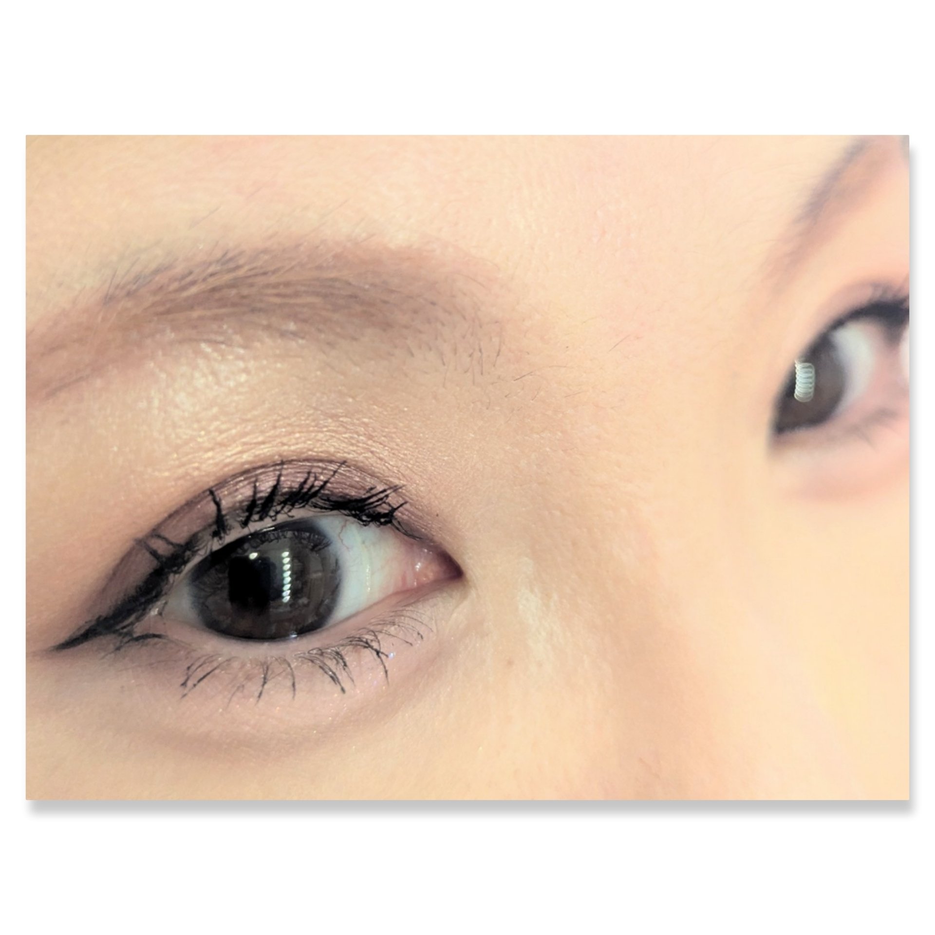 グロッシーリッチ アイズ N PK-3 バーガンディ系/Visée/アイシャドウパレットを使ったクチコミ（2枚目）