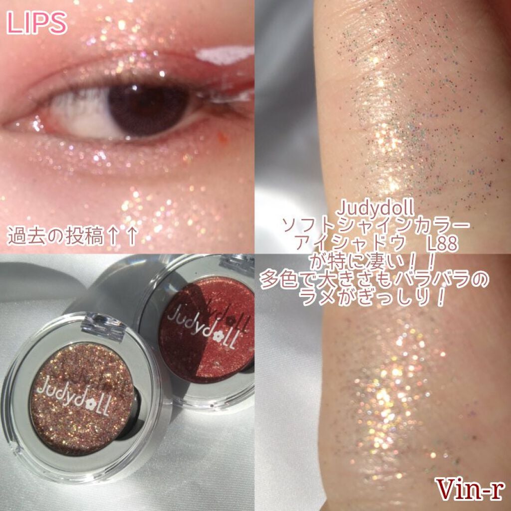 エクスプローラ12色 動物アイシャドウパレット/PERFECT DIARY/アイシャドウパレットを使ったクチコミ(5枚目)