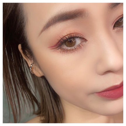 エクスプローラ12色 動物アイシャドウパレット/PERFECT DIARY/アイシャドウパレットを使ったクチコミ(7枚目)