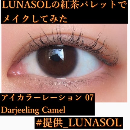 アイカラーレーション/LUNASOL/アイシャドウパレットを使ったクチコミ(1枚目)