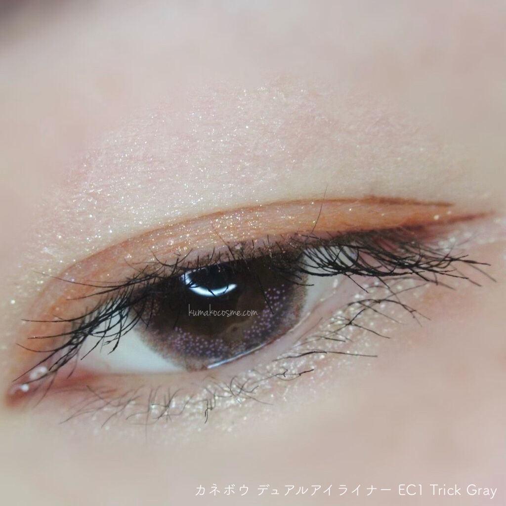 カネボウ デュアルアイライナー（カラー） EC1 Trick Gray/KANEBO/リキッドアイライナーを使ったクチコミ（3枚目）