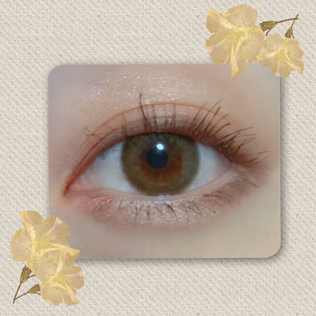 ニュアンスカラーアイズ/Enamor/アイシャドウパレットを使ったクチコミ(8枚目)