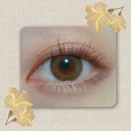 ニュアンスカラーアイズ/Enamor/アイシャドウパレットを使ったクチコミ(8枚目)