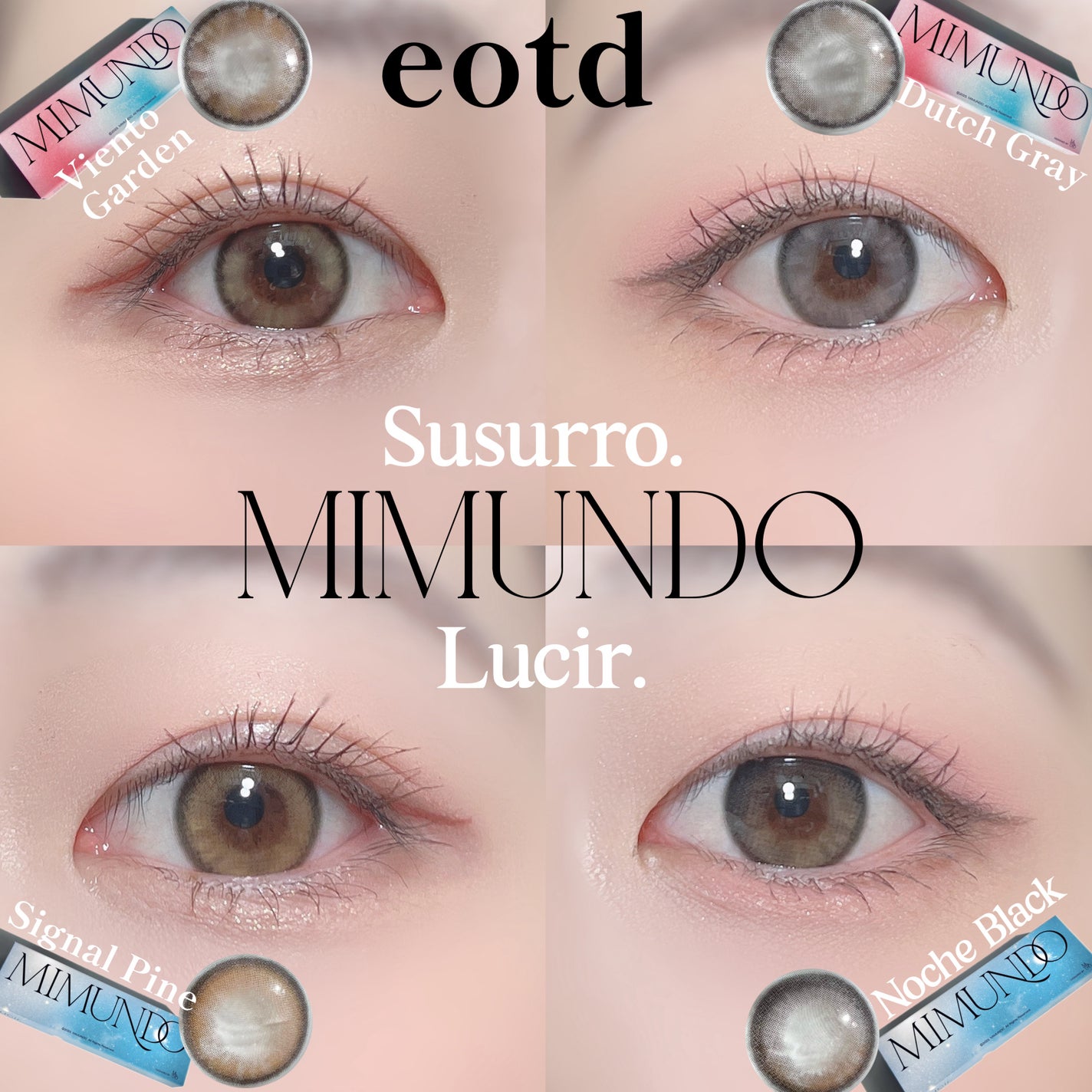 Lucir 1Day/mimundo/カラーコンタクトレンズを使ったクチコミ(1枚目)