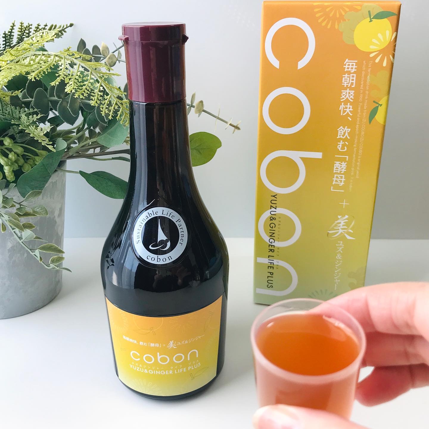 コーボンユズ＆ジンジャーライフプラスN525/COBON/酵素ドリンクを使ったクチコミ（2枚目）