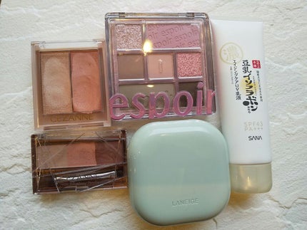 リアルアイパレット/espoir/マルチパレットを使ったクチコミ(1枚目)