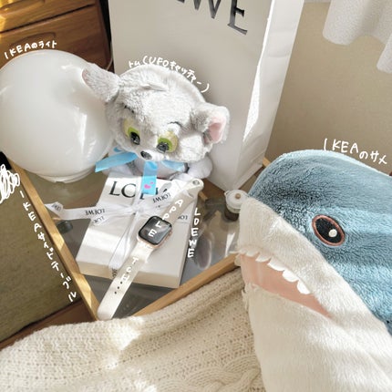 モアリップ N (医薬品)/資生堂薬品/その他を使ったクチコミ(4枚目)