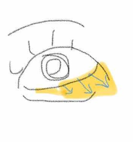 リアルクローズシャドウ/excel/アイシャドウパレットを使ったクチコミ(1枚目)