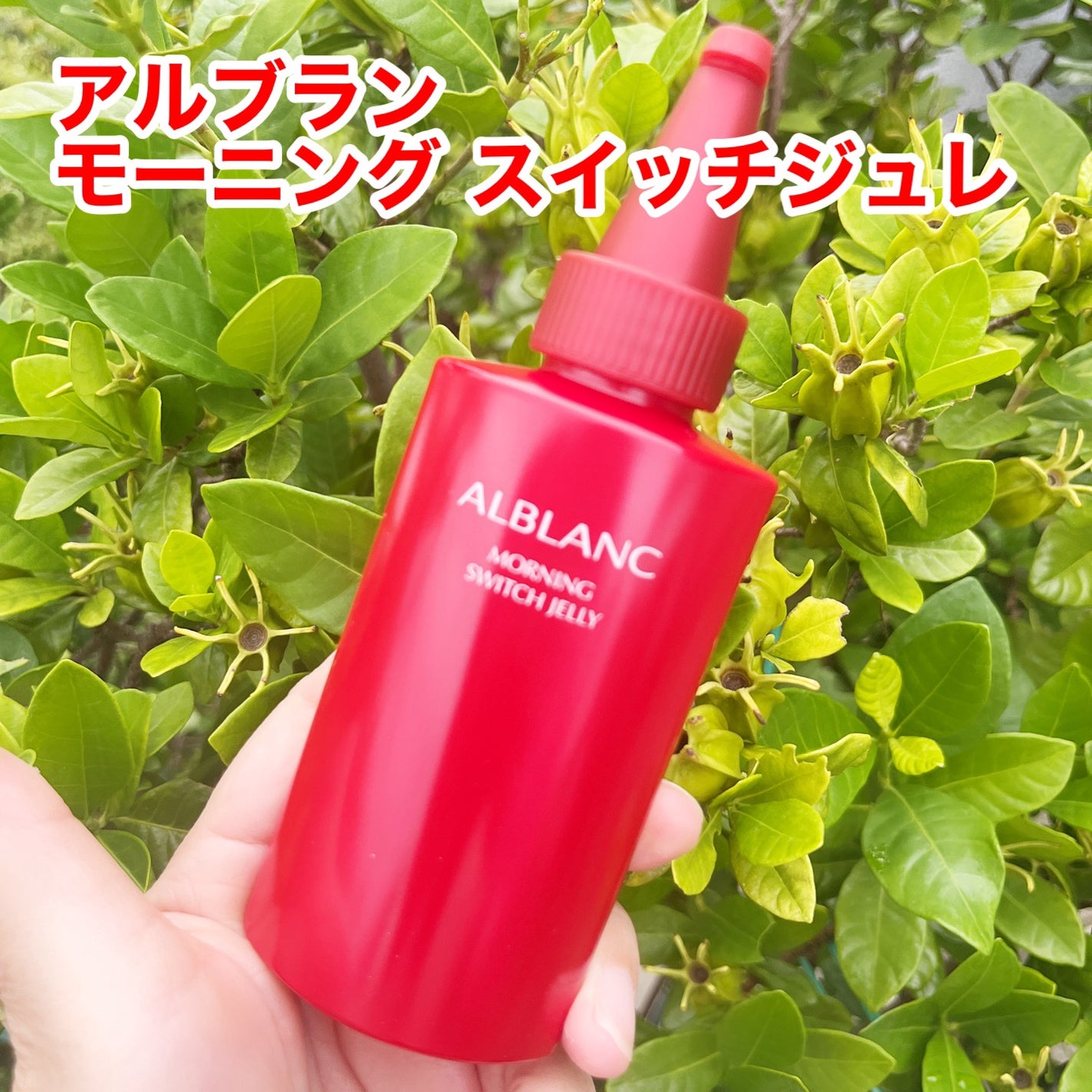 モーニング スイッチジュレ/ALBLANC/美容液を使ったクチコミ(1枚目)