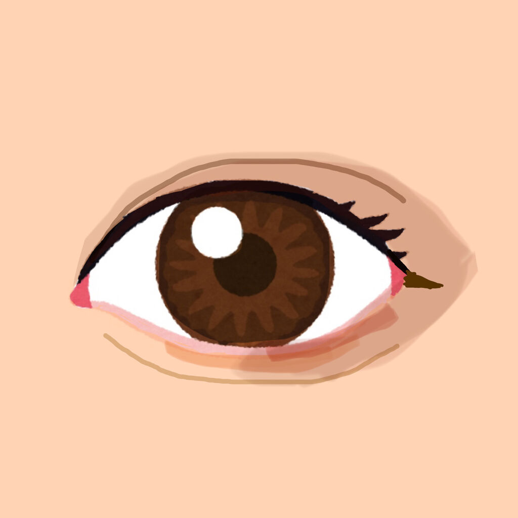 レイヤードカラーズアイシャドウ/KANEBO/アイシャドウパレットを使ったクチコミ（2枚目）