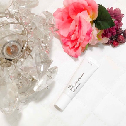 プロテクティブリップバーム ブロックスティック/Abib /リップバームを使ったクチコミ(1枚目)