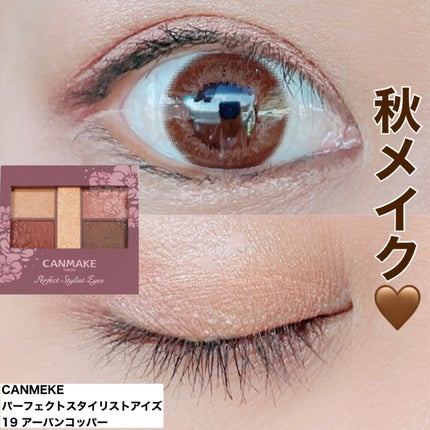 パーフェクトスタイリストアイズ/キャンメイク/アイシャドウパレットを使ったクチコミ(1枚目)