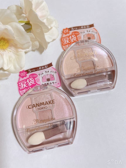 プランぷくコーデアイズ/キャンメイク/パウダーアイシャドウを使ったクチコミ(1枚目)