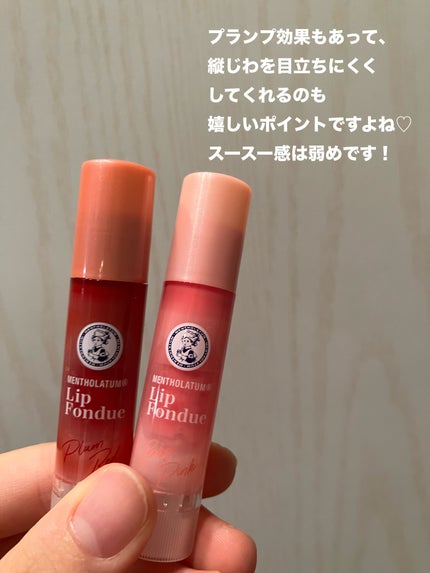 メンソレータム リップフォンデュ/メンソレータム/リップバームを使ったクチコミ(5枚目)