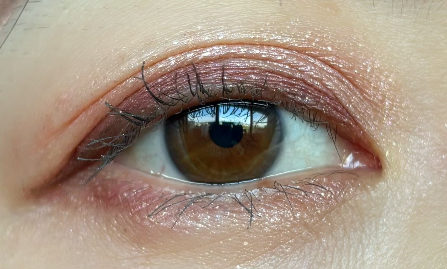 ナイストゥミーチュートランク/MAJOLICA MAJORCA/アイシャドウパレットを使ったクチコミ(5枚目)