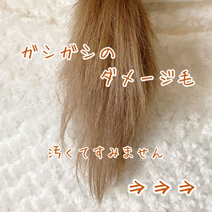クレムドアン ブラウンクリームシャンプー/creme de Ann/市販シャンプーを使ったクチコミ(3枚目)