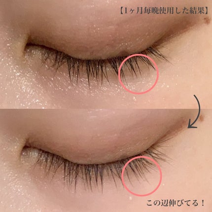 ラッシュジェリードロップ EX/MAJOLICA MAJORCA/まつげ美容液を使ったクチコミ(5枚目)