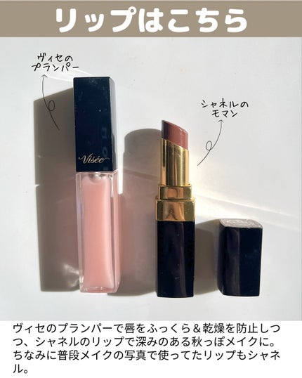 ヴィセ リシェ アイブロウパウダー/Visée/パウダーアイブロウを使ったクチコミ(9枚目)