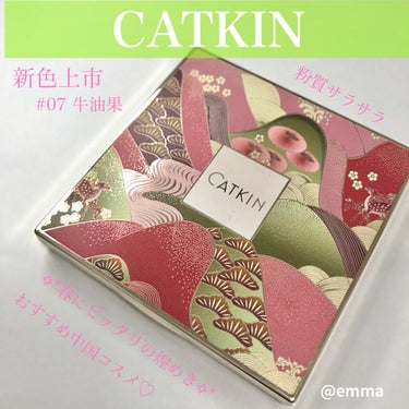 長相思シリーズ 9色アイシャドウパレット/CATKIN/アイシャドウパレットを使ったクチコミ（1枚目）