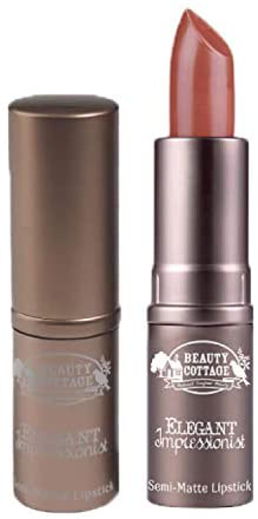 エレガント インプレッショニスト セミマット リップスティック NO.17(Viytory Realistic)