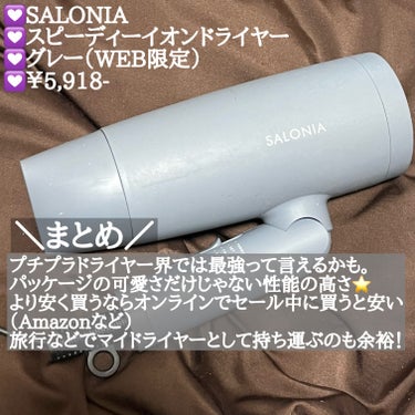 スピーディーイオンドライヤー グレー(WEB限定)/SALONIA/ドライヤーの画像