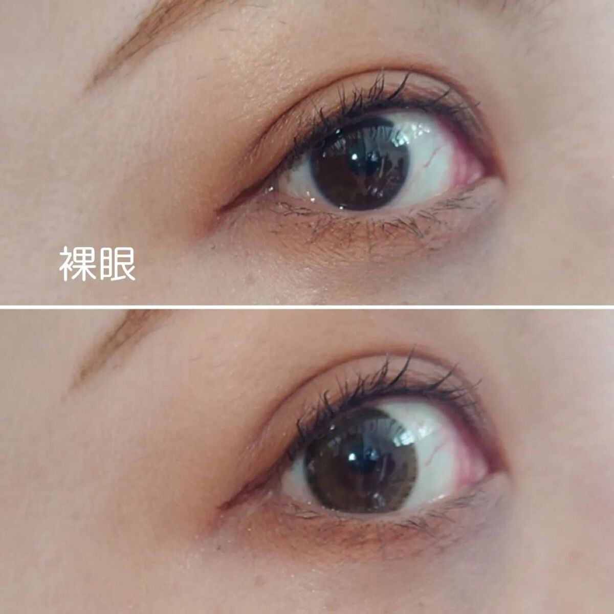 Peaceful Kristen/Hapa kristin/カラーコンタクトレンズを使ったクチコミ(7枚目)