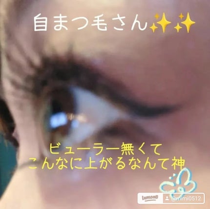 ラッシュガーディアン アングラヴィティマスカラ/LASHGUARDIAN/マスカラを使ったクチコミ(1枚目)