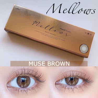 メローズワンデーミューズブラウン(Mellows 1day Muse Brown)/OLOLA/ワンデー（１DAY）カラコンを使ったクチコミ（1枚目）