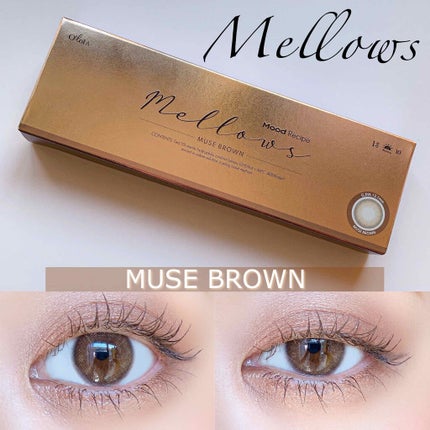 メローズワンデーミューズブラウン(Mellows 1day Muse Brown)/OLOLA/ワンデー(1DAY)カラコンを使ったクチコミ(1枚目)