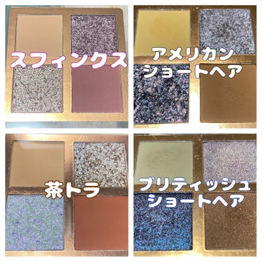 Venus Marble アイシャドウキャットシリーズ ブリティッシュショートヘア/Venus Marble/アイシャドウパレットを使ったクチコミ（2枚目）