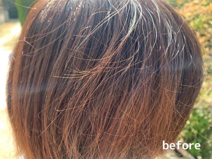 ボタニカルヘアオイル(ダメージケア)/BOTANIST/ヘアオイルを使ったクチコミ(3枚目)