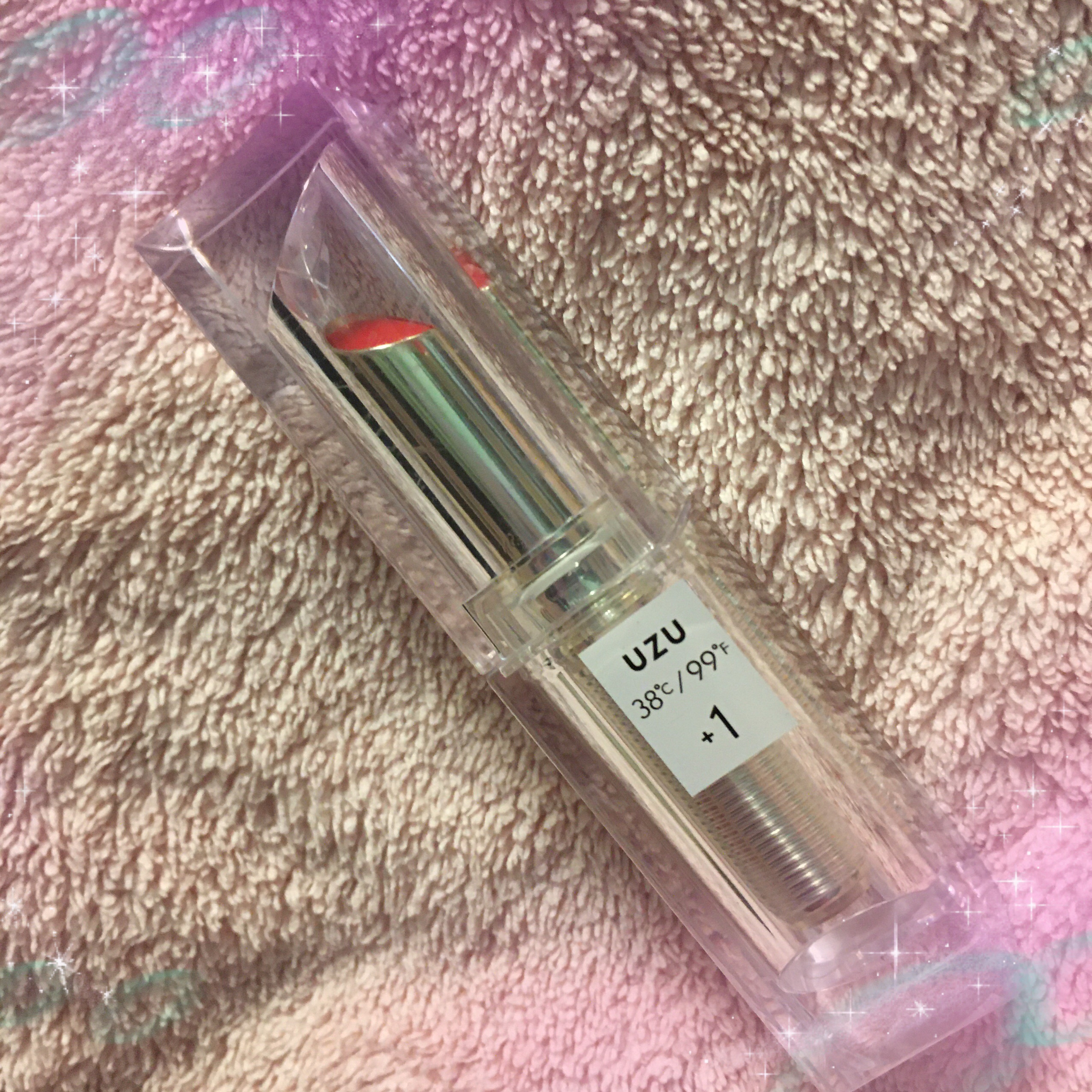 38/99°F LIP KIT BOOK BLACK edition/宝島社/リップグロスを使ったクチコミ（1枚目）