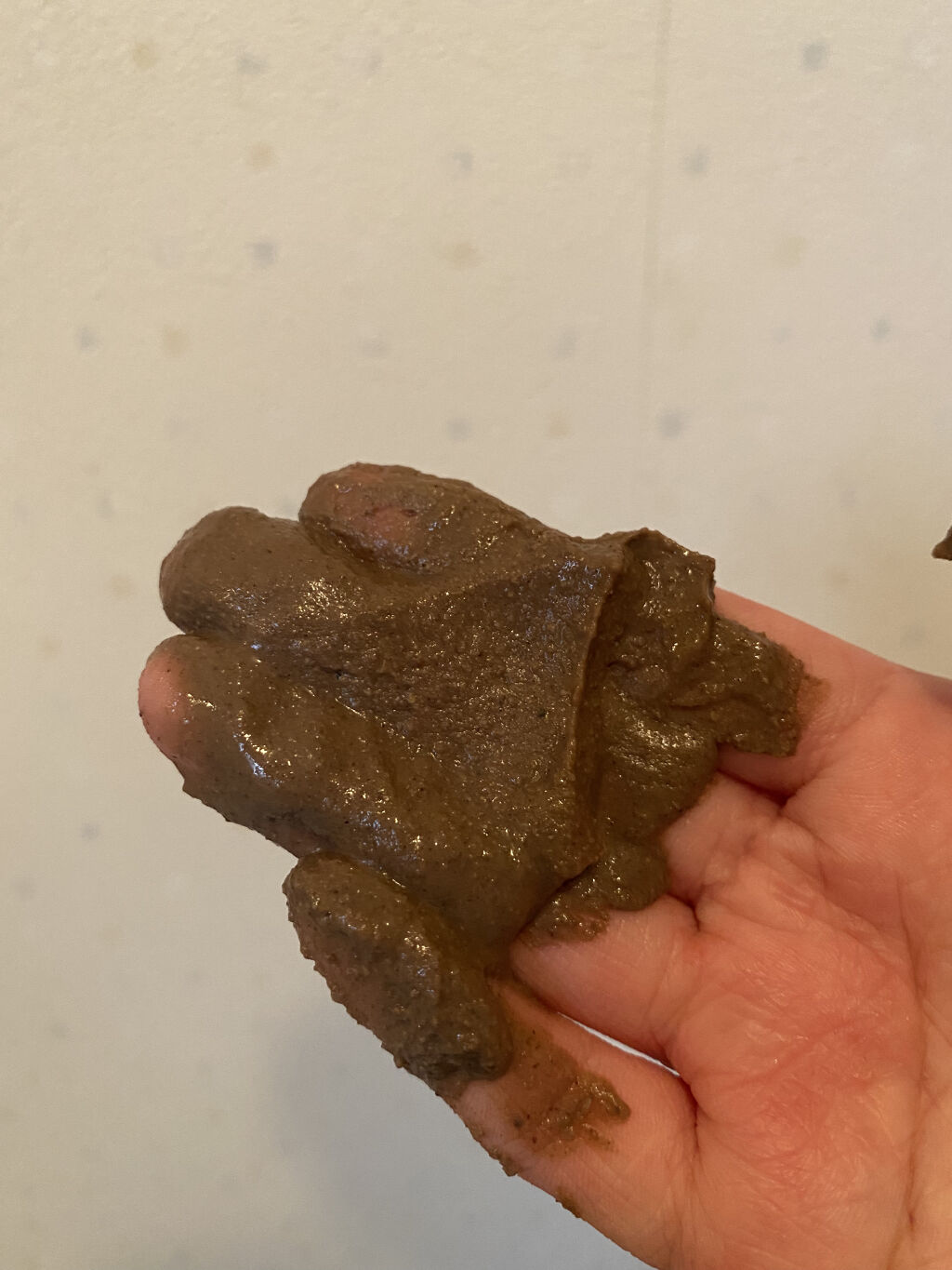 ガスール固形/ナイアード/洗顔石鹸を使ったクチコミ（3枚目）