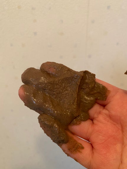 ガスール固形/ナイアード/洗顔石鹸を使ったクチコミ(3枚目)