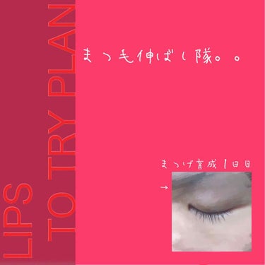 ・．─────── ☾───────．・


⚠️目のアップがあります⚠️

《 まつげ育成1日目 》

おはこんばんにちは🤟伊佐です。



まつ毛育成の時間ですっ！！((誰。
この企画を初めて2回目