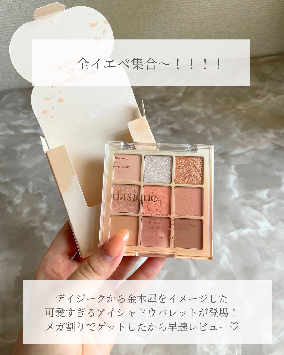 シャドウパレット/dasique/アイシャドウパレットを使ったクチコミ(2枚目)