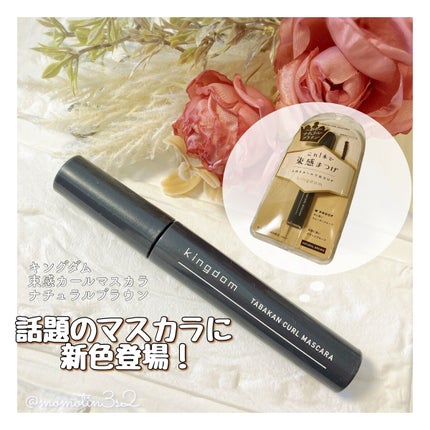 キングダム 束感カールマスカラ/キングダム/マスカラを使ったクチコミ(1枚目)