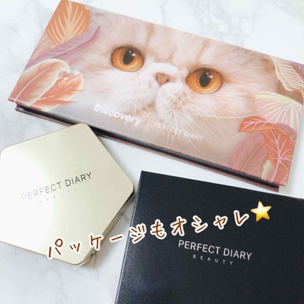 エクスプローラ12色 動物アイシャドウパレット/PERFECT DIARY/アイシャドウパレットを使ったクチコミ(9枚目)