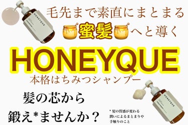 HONEYQUE シャンプー&トリートメント
● ディープリペア シャンプー モイスト
450ml　1,650円(税込)

● ディープリペア ヘアトリートメント モイスト
450ml　1,650円(税