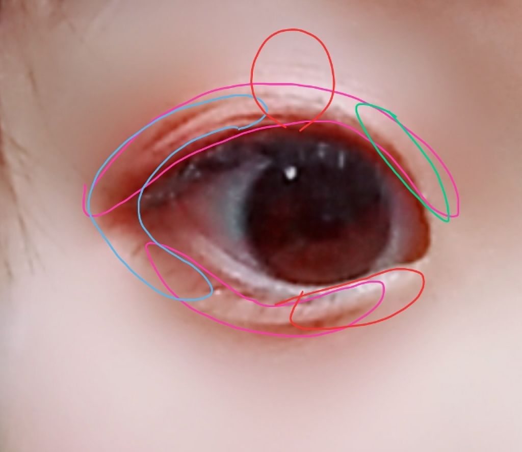 すっぴんパウダー/クラブ/プレストパウダーを使ったクチコミ（3枚目）