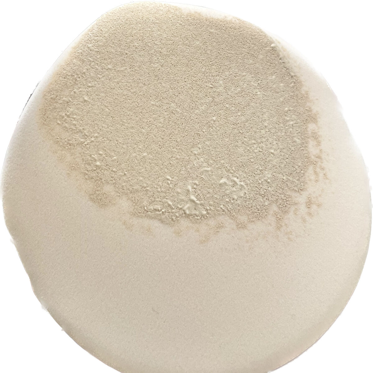 プロテーラービーベルベットカバークッション/espoir/クッションファンデーションを使ったクチコミ（3枚目）