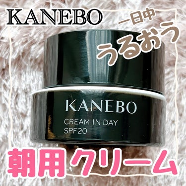 クリーム　イン　デイ/KANEBO/フェイスクリームを使ったクチコミ（1枚目）