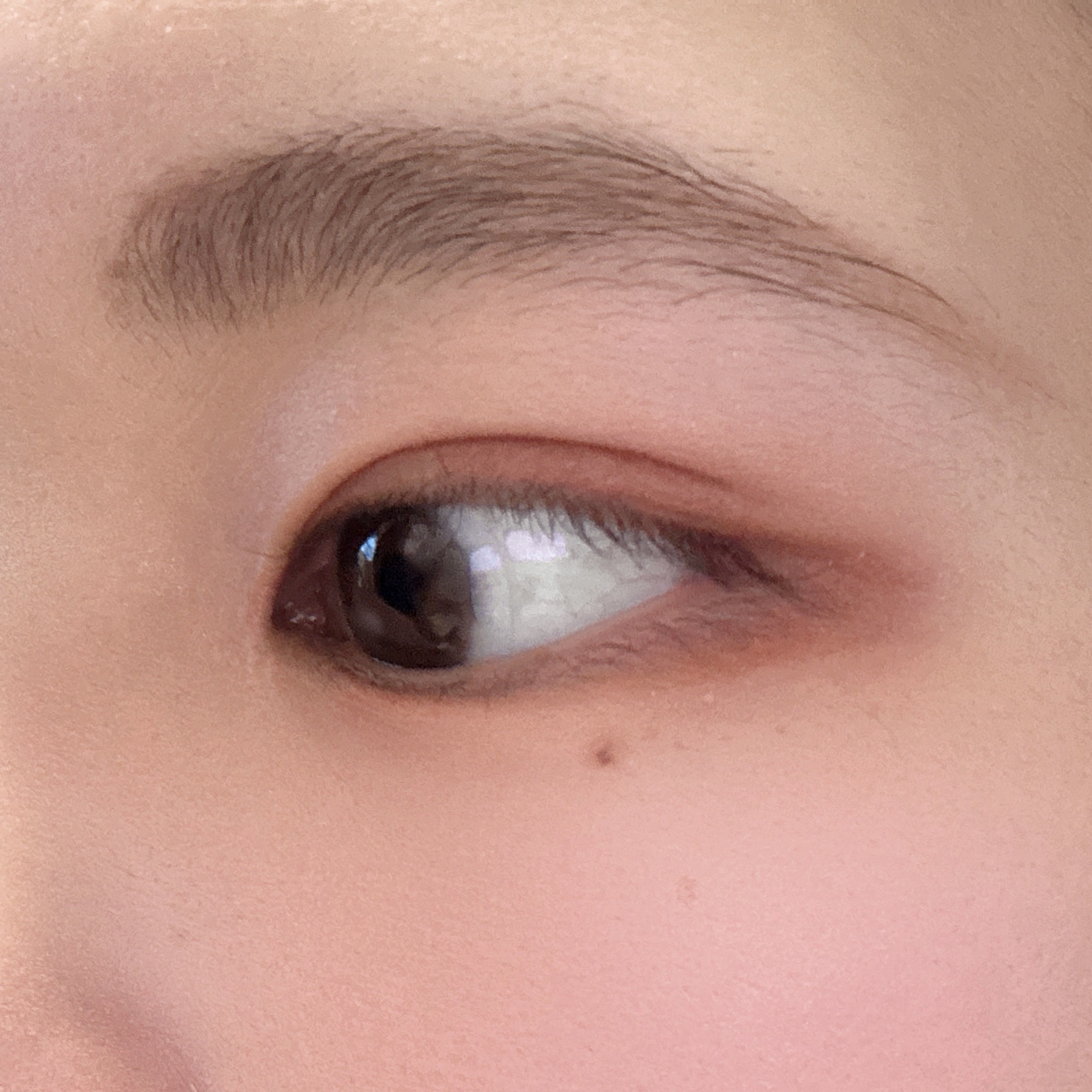 エクストラ ディメンション アイシャドウ アマラス アロイ/M・A・C/単色アイシャドウを使ったクチコミ（3枚目）