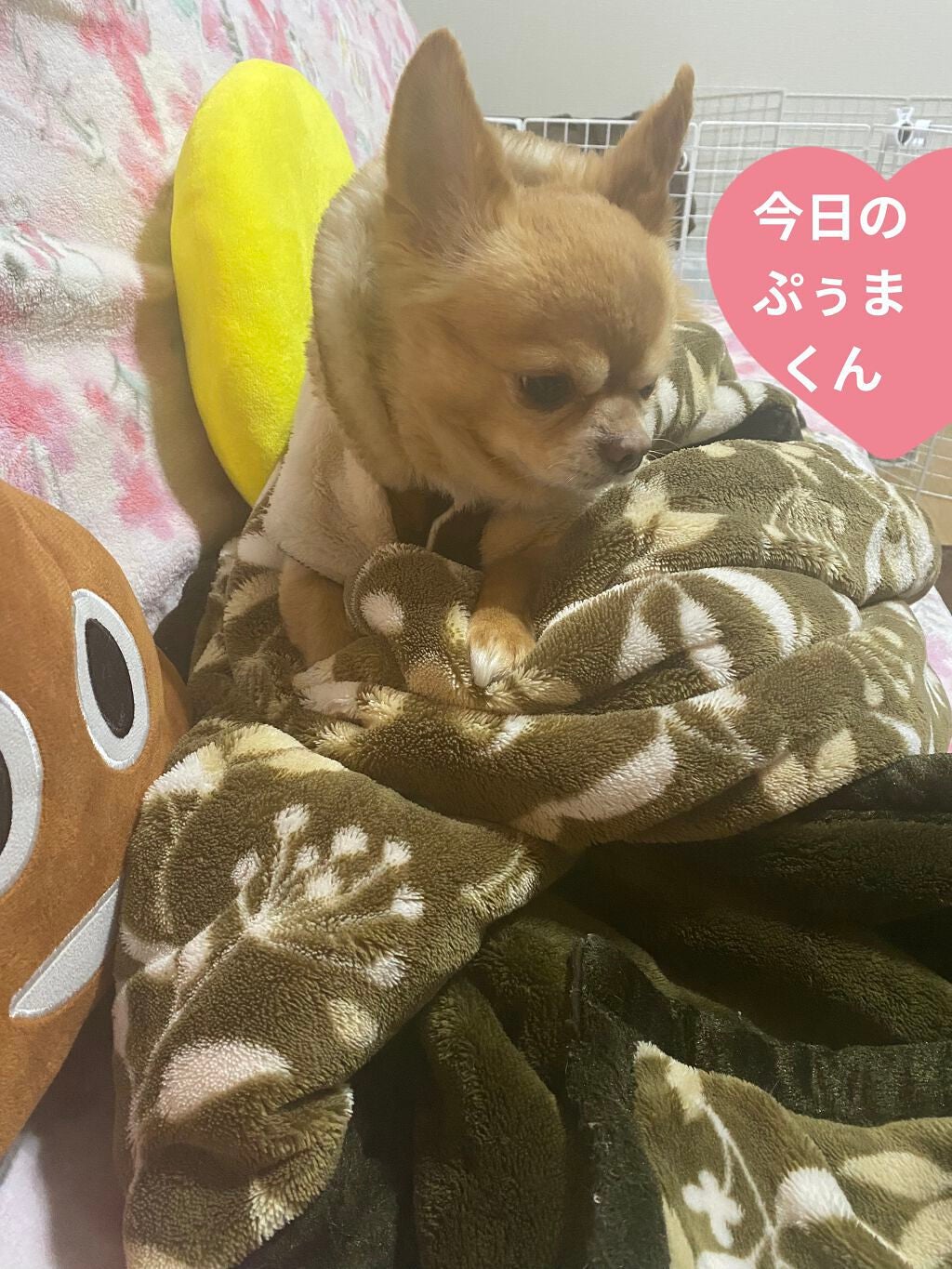 クリーム カラー フォー アイズ/TOM FORD BEAUTY/ジェル・クリームアイシャドウを使ったクチコミ(7枚目)