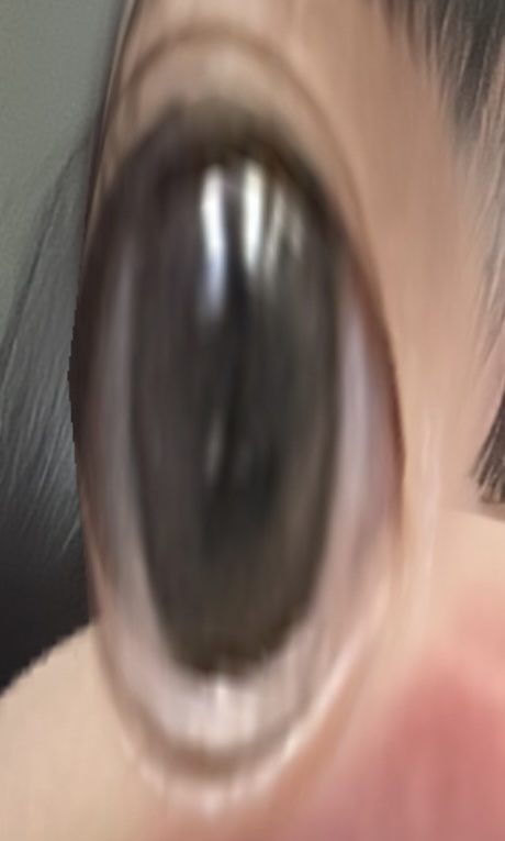 あざとめ 1day ショコラティエ/azatome/ワンデー（１DAY）カラコンを使ったクチコミ（1枚目）