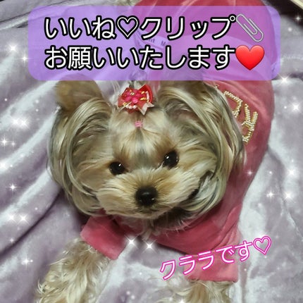 グローミスト N/RMK/ミスト状化粧水を使ったクチコミ(2枚目)